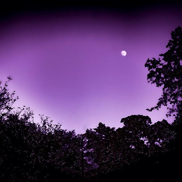 Austin Photograph - Purple Sky | Austin, Texas by Christy LaSalle