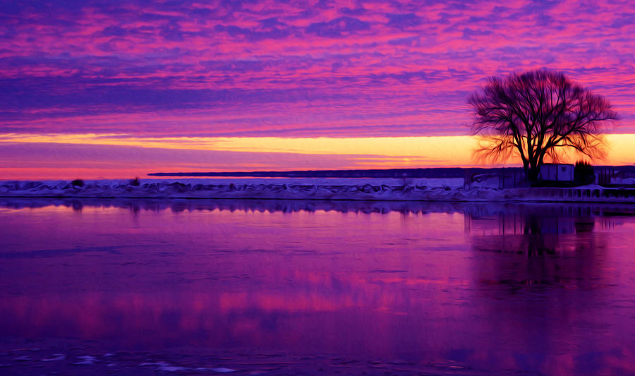 Purple sky Photograph by Tracy Winter