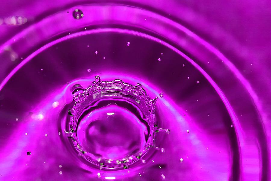 Purple Splash Photograph by Christy Patino - Fine Art America