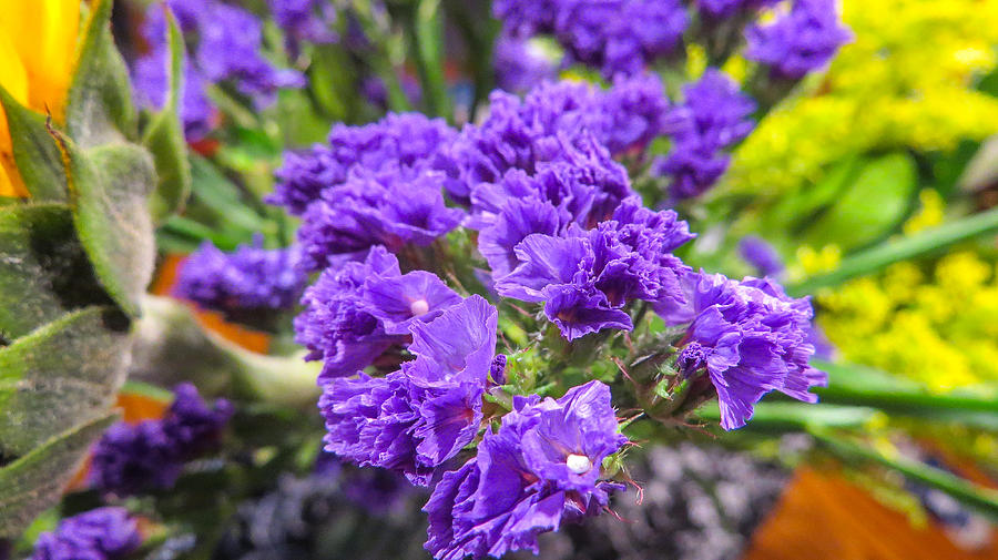 Purple Statice Flower Arrangement Photograph by JG Thompson - Fine Art ...