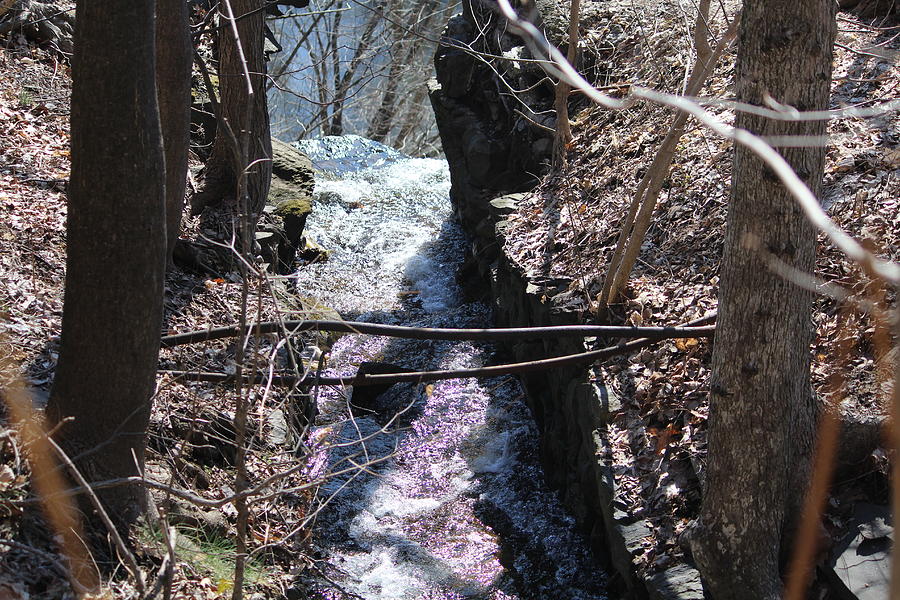 Purple stream Photograph by Denise Cicchella