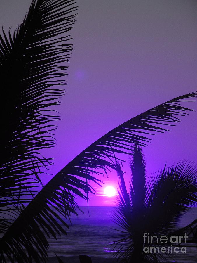 Purple Sunlight - Ile De La Reunion - Reunion Island Photograph by Francoise Leandre