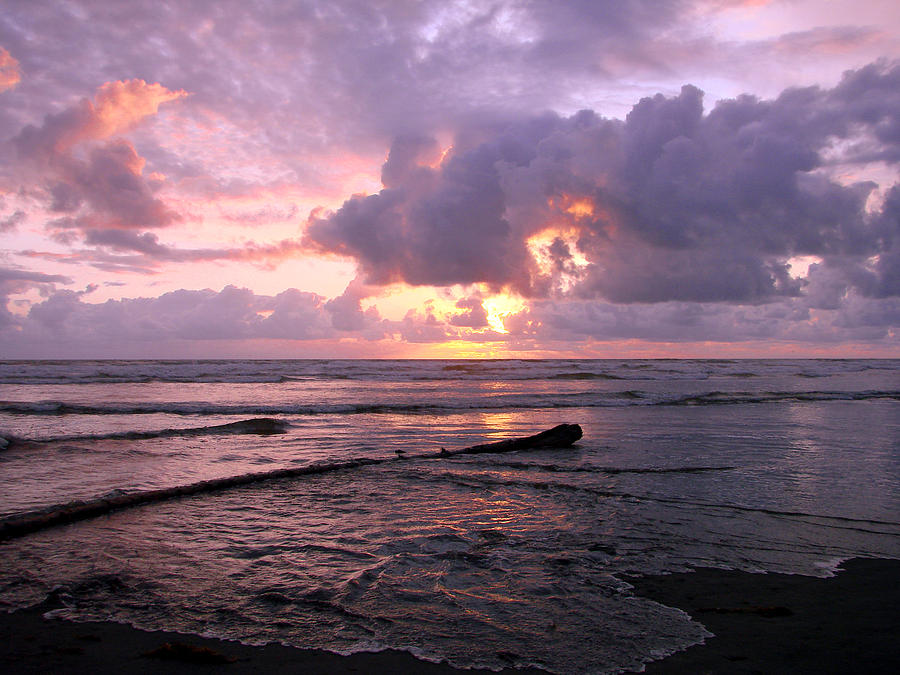Purple Pink Sunset Photograph by Athena Mckinzie