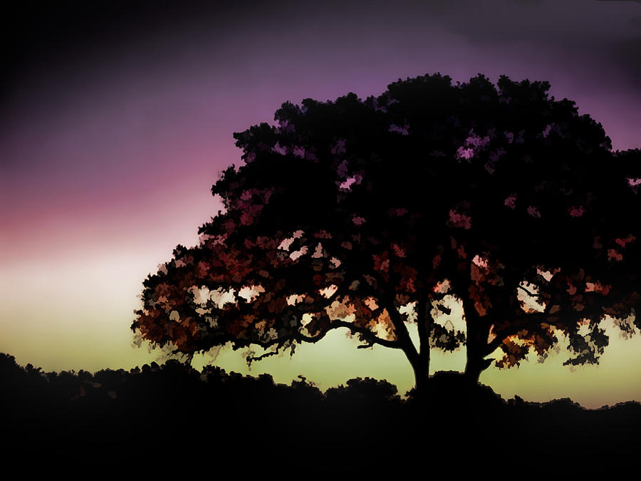 Purple Sunset Green Flash And Oak Tree Silhouette Painting By Elaine Plesser