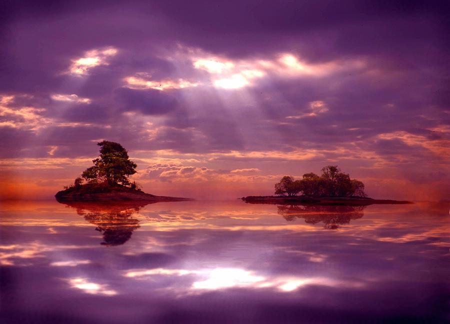 Purple Sunset Digital Art by Lilia S