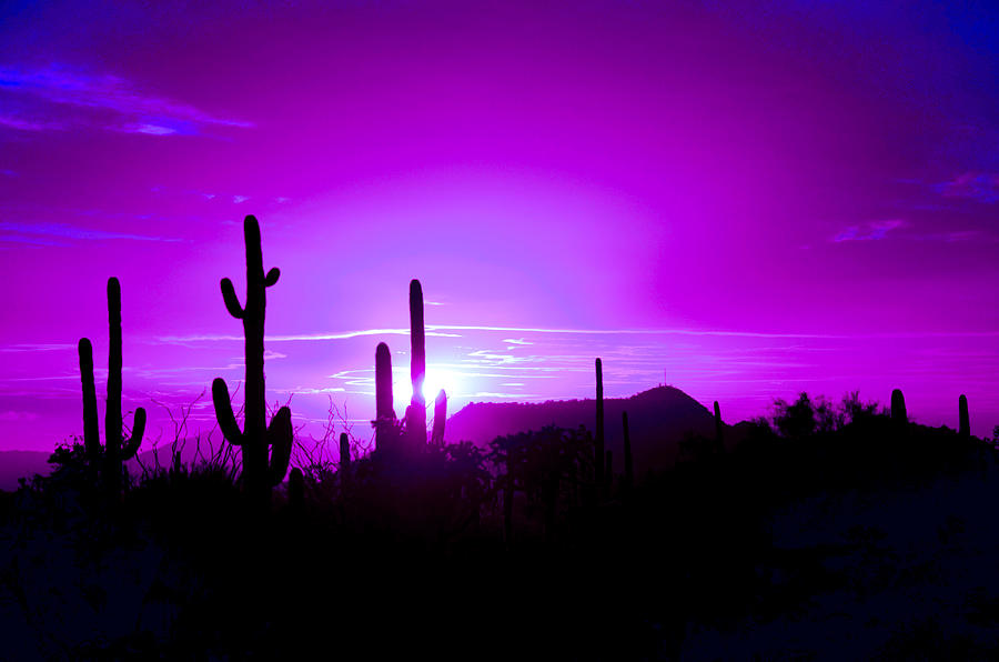 sunrise purple