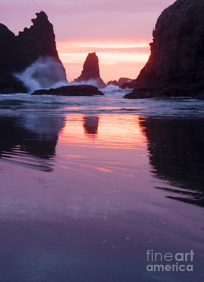 Purple Sunset Photograph by Vivian Christopher