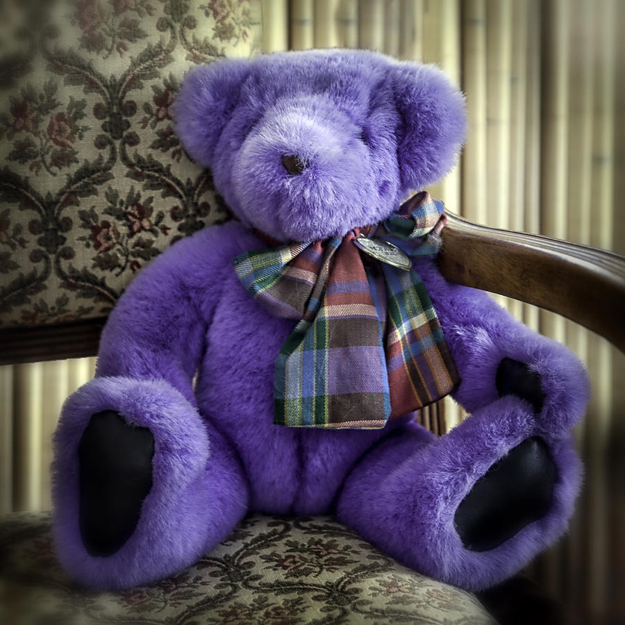 a purple teddy bear