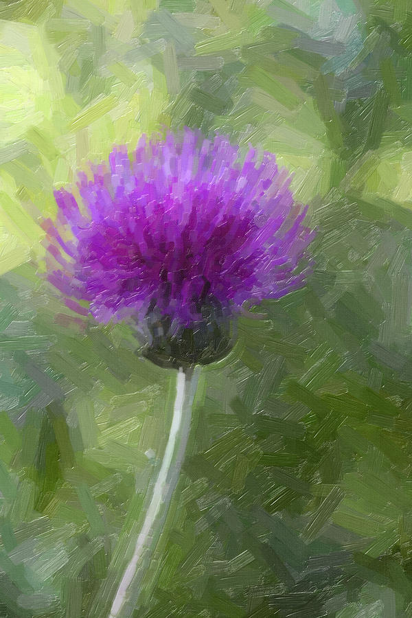 Purple Thistle Painting by David Gleeson