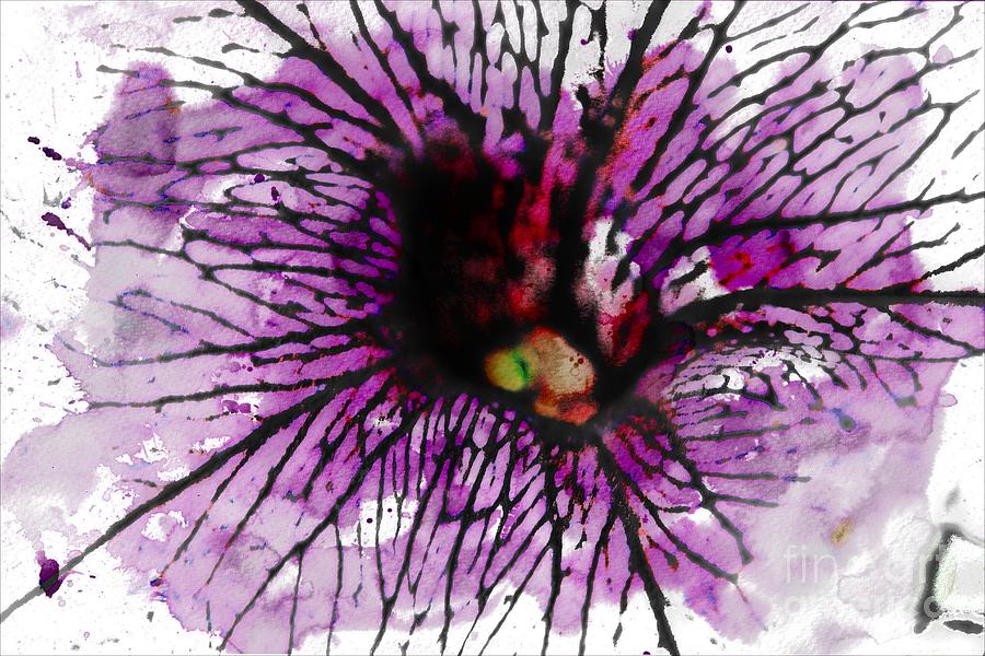 Flowers Still Life Photograph - Purple Throated Petunia by Audreen Gieger