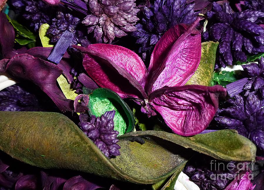 Purple Tones Fragrance Mix Photograph by Amalia Suruceanu