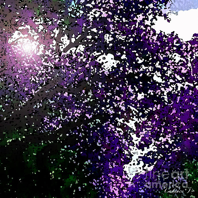 Marilyn Monroe Photograph - Purple Trees by Jennifer Cadence Spalding