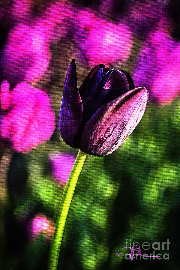 Purple Tulip Sentinel of the Garden Painting by Jani Bryson