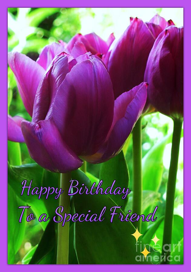 Purple Tulips Birthday Greeting Photograph by Joan-Violet Stretch