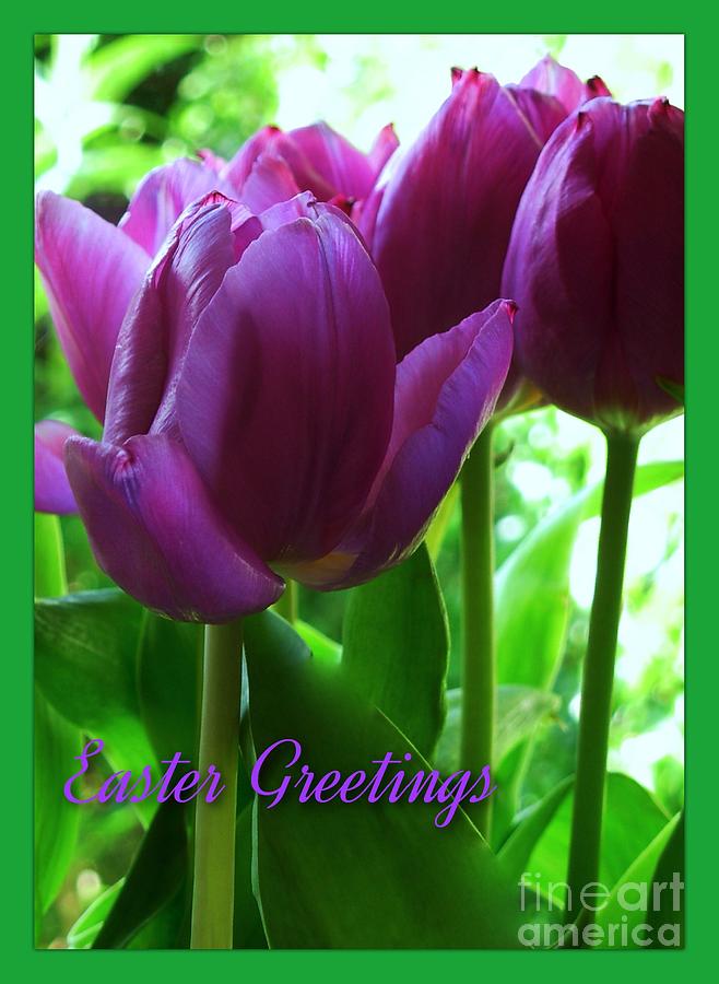 Purple Tulips Easter Greeting Photograph by Joan-Violet Stretch