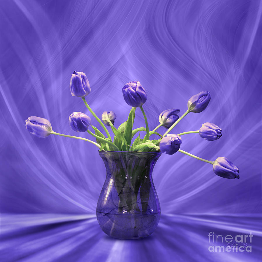 Purple tulips in purple room Digital Art by Johnny Hildingsson