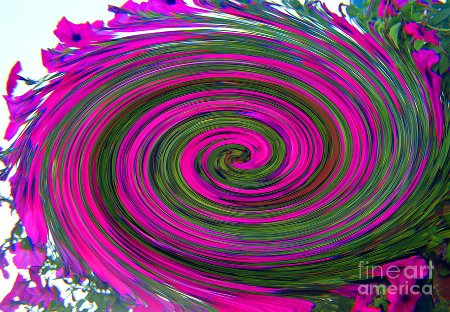 Abstract Photograph - Purple Twirl by Tina M Wenger