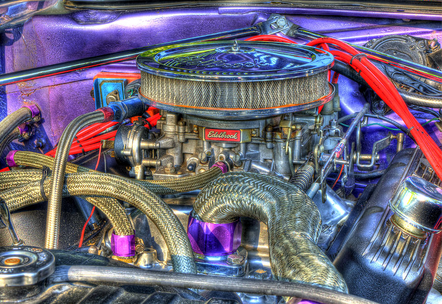 Purple Under the Hood Photograph by Thomas Young