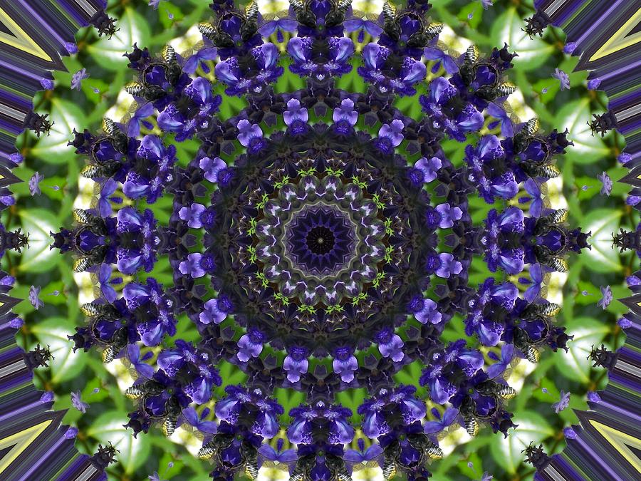 Purple Violet Floral Kaleidoscope Photograph by Sheri McLeroy