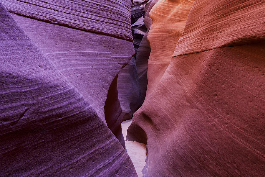Antelope Canyon Photograph - Purple Vs. Orange by Maico Presente