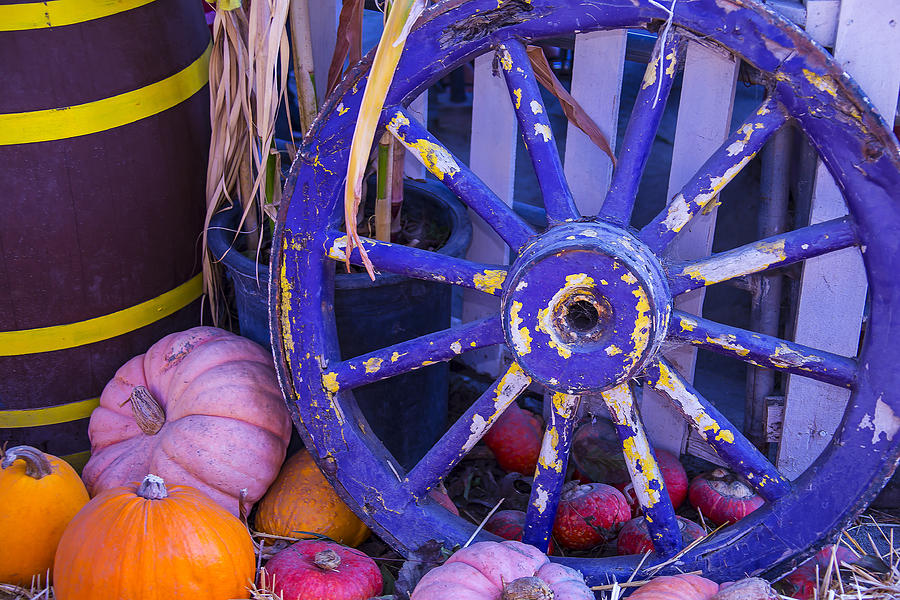 Purple Wagon Wheel Photograph by Garry Gay