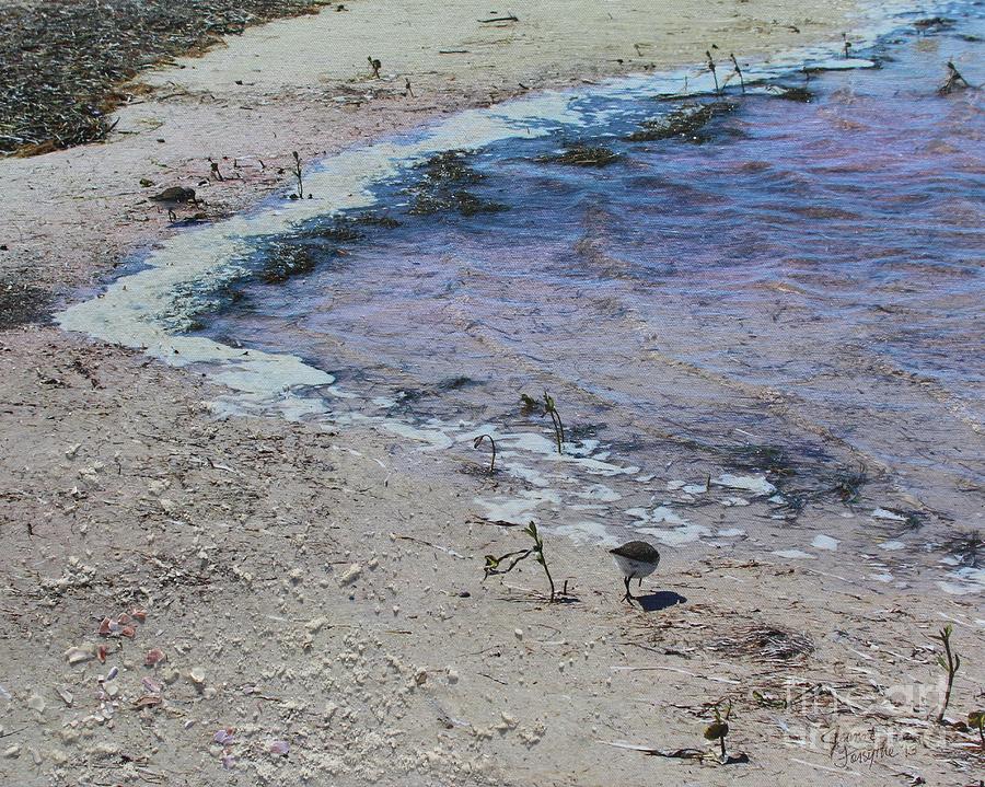 Purple Waters with Sand Photograph by Jeanne Forsythe