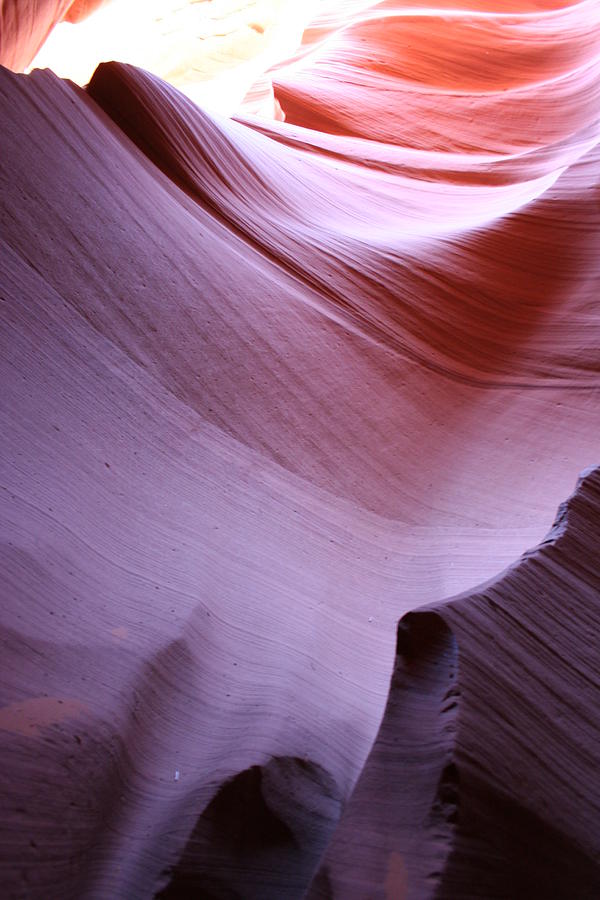 Purple Waves Photograph by Christiane Schulze Art And Photography ...