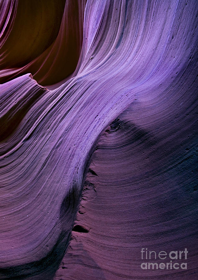 Desert Photograph - Purple Waves by Michael Dawson