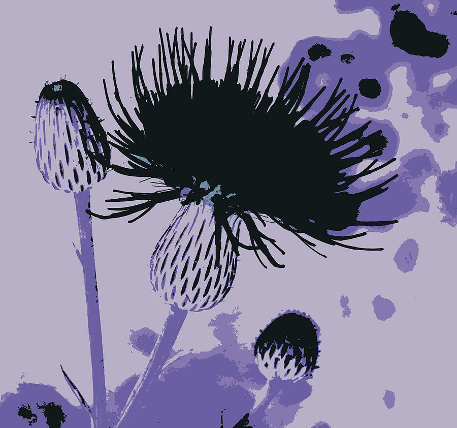 Purple Wildflower Silhouette  Photograph by Sheri McLeroy