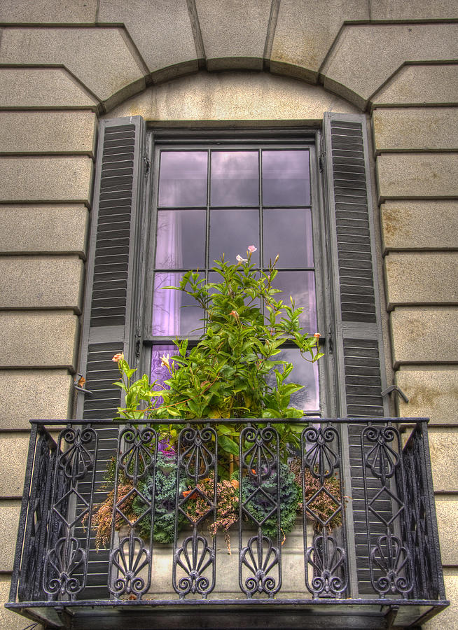 Purple Window in Beacon Hill Photograph by Joann Vitali
