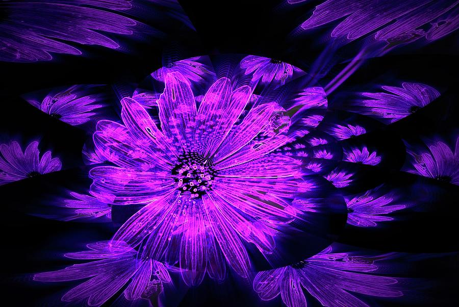 Purple Wisps of Flower Digital Art by Amanda Eberly