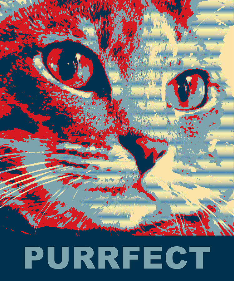 Cat Digital Art - Purrfect by David G Paul