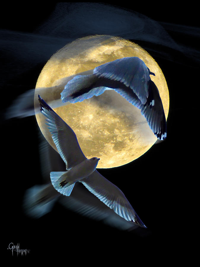 Pursuit Over the Moon. Photograph by Glenn Feron