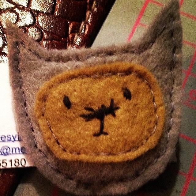 Pussy Cat Brooch/badge Photograph by Chris Jones