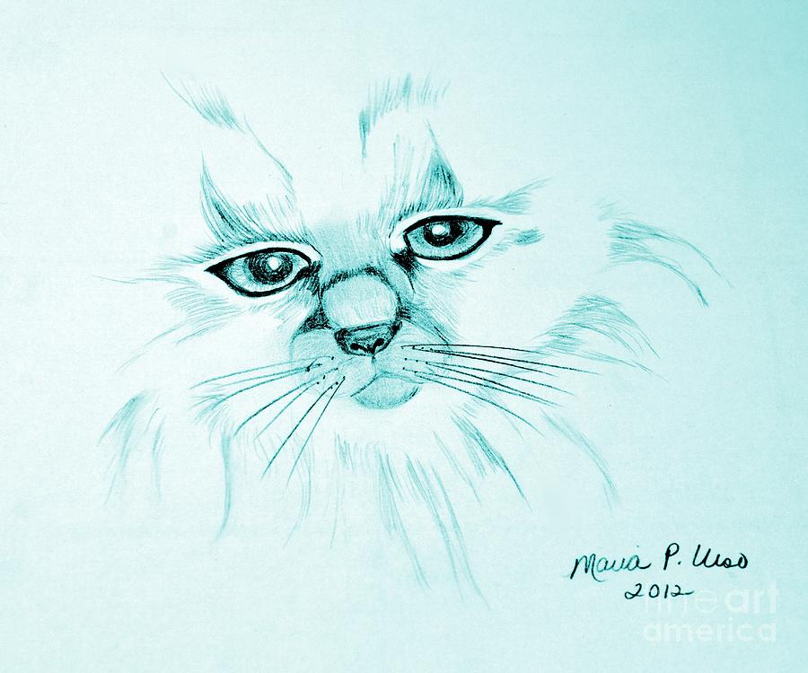 Pussycat Blues Drawing by Maria Urso