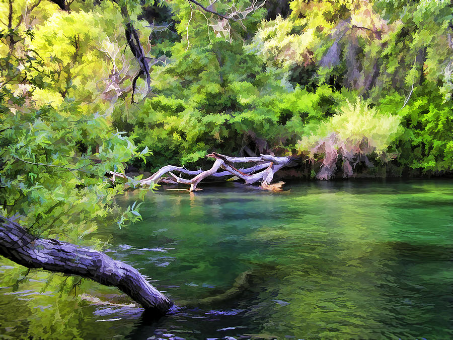 Putah Creek Photograph by Phil Clark