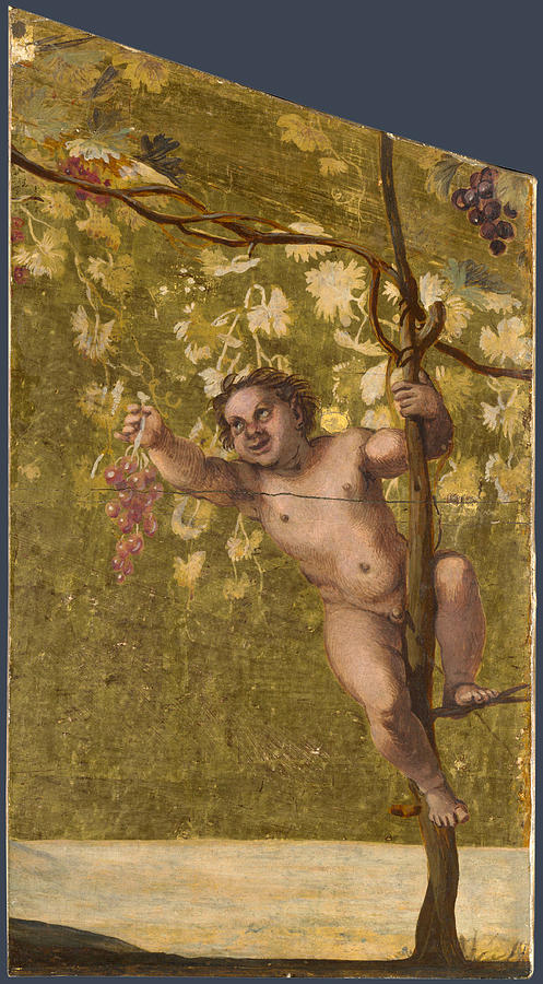 Putto gathering Grapes Painting by Annibale Carracci