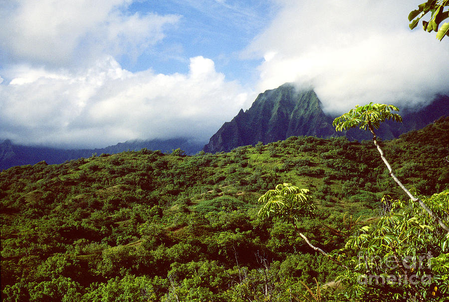 Hawaii Photograph - Puu Piei Trail Koolau Mountains by Thomas R Fletcher Hawaii Photograph - Puu Piei Trail Koolau Mountains by Thomas R Fletcher