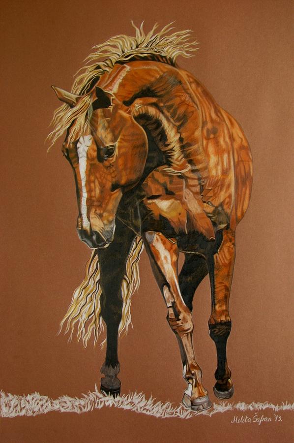 Horse Drawing - Puzzle by Melita Safran