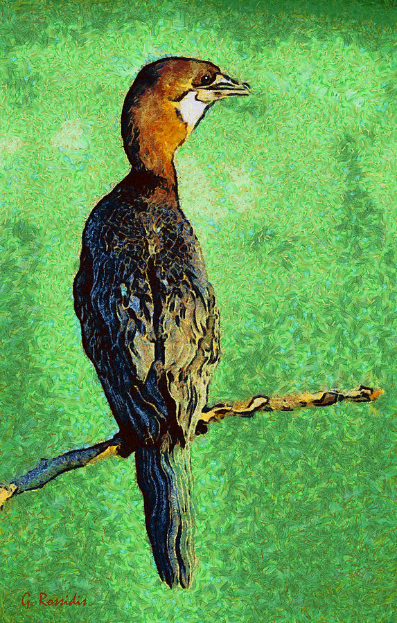 Pygmy cormorant Painting by George Rossidis