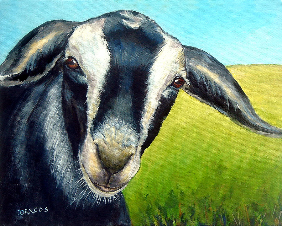 Pygmy Goat in Field Painting by Dottie Dracos - Fine Art America