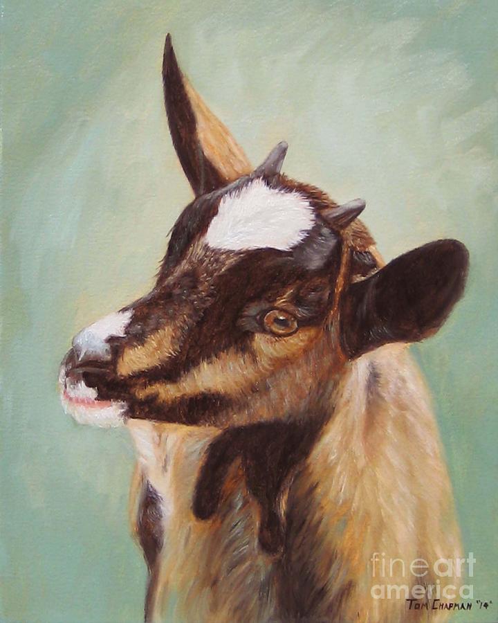Baby Alpine Goat Painting by Tom Chapman