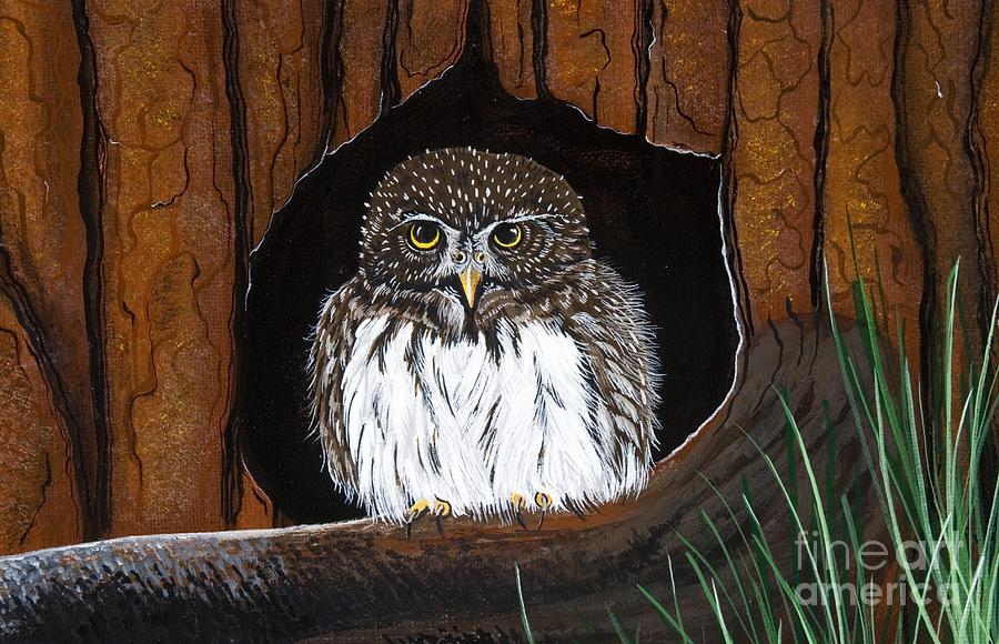 Pygmy Owl Painting by Jennifer Lake