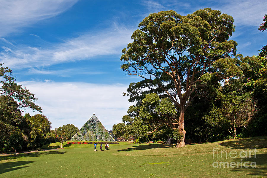 Pyramid Glasshouse - Royal Botanic Gardens Photograph by Bob and Nancy Kendrick