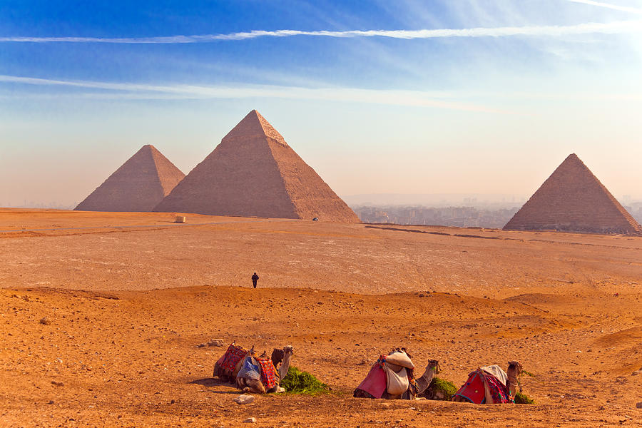 Pyramids and Camels Photograph by Matthew Bamberg