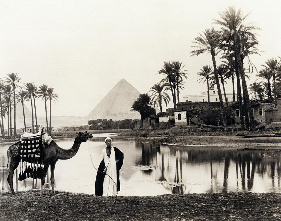 Pyramids Of Giza Oasis Photograph by Underwood Archives