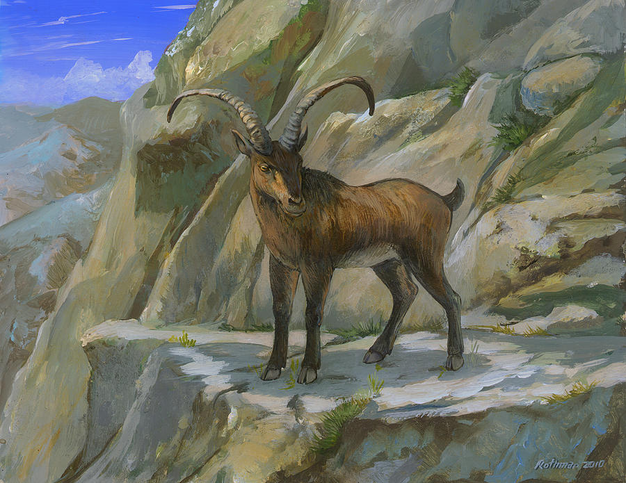 Pyrennean Ibex Painting by ACE Coinage painting by Michael Rothman - Pixels