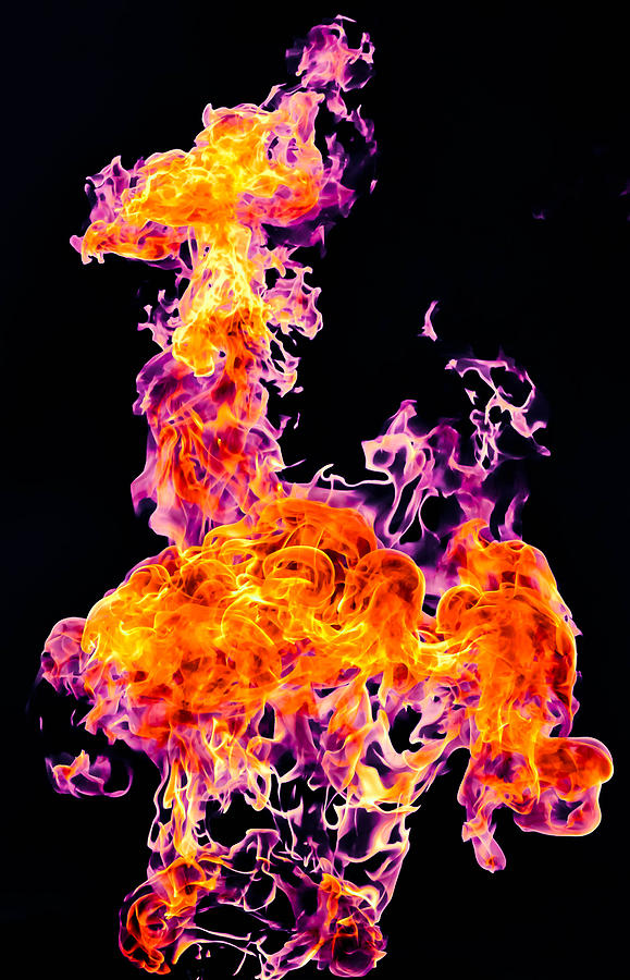 Pyretta Blaze	 Photograph by Brian Stevens