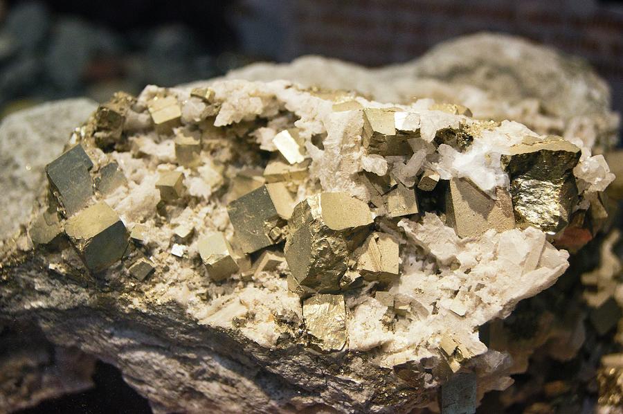 Pyrite Crystals. Photograph by Mark Williamson/science Photo Library
