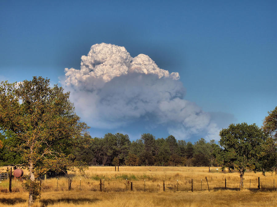 Pyrocumulus Cloud 08 18 12 Photograph by Joyce Dickens